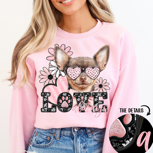 love always Chihuahua