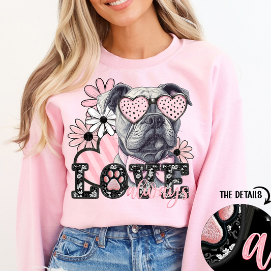 love always Grey American Bulldog