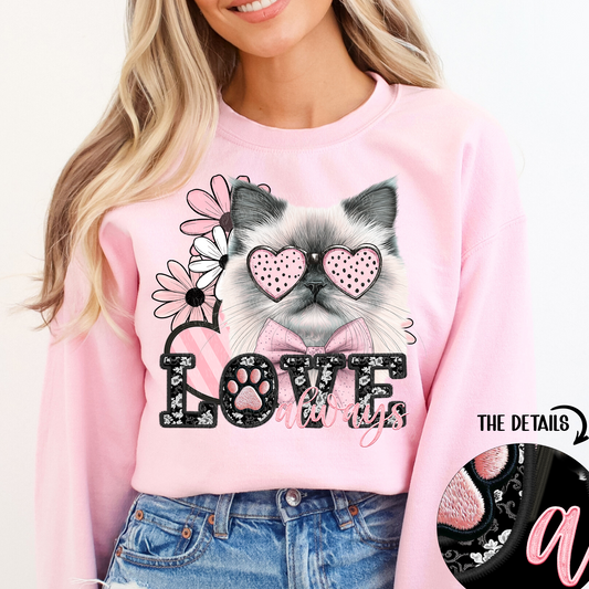 love always Himalayan cat