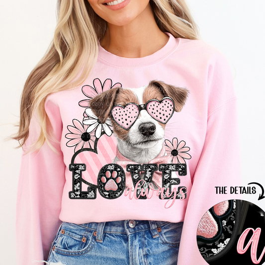 love always Jack Russell Terrier