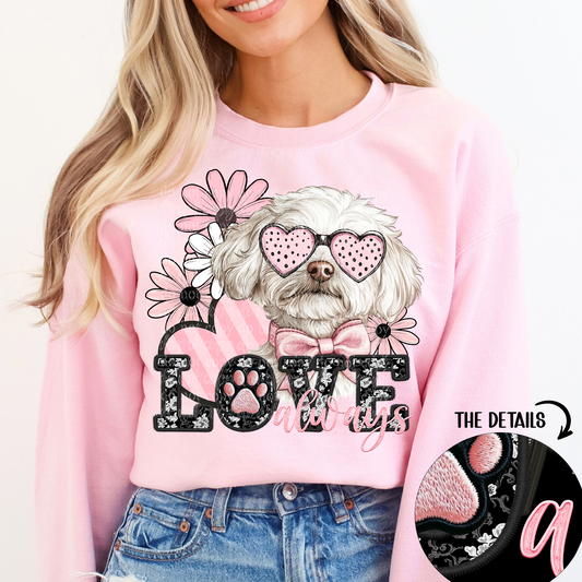 love always maltipoo
