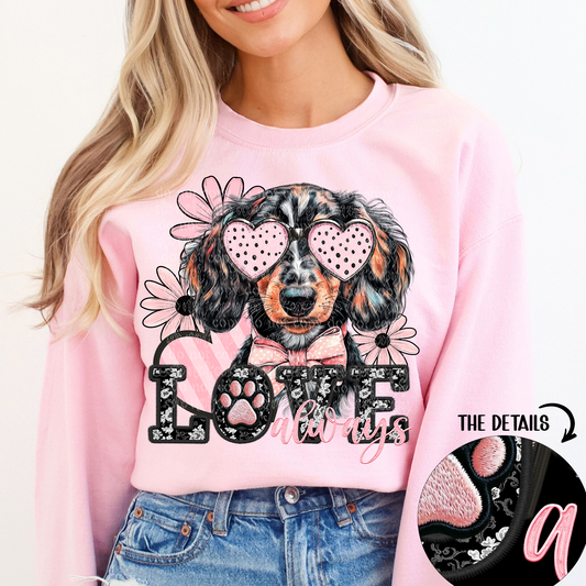 love always Piebald Long Haired Dachshund