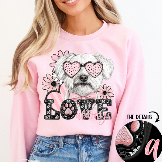 Love always white Maltese