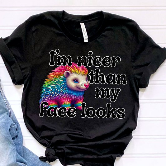 I'm nicer than my face looks porcupine