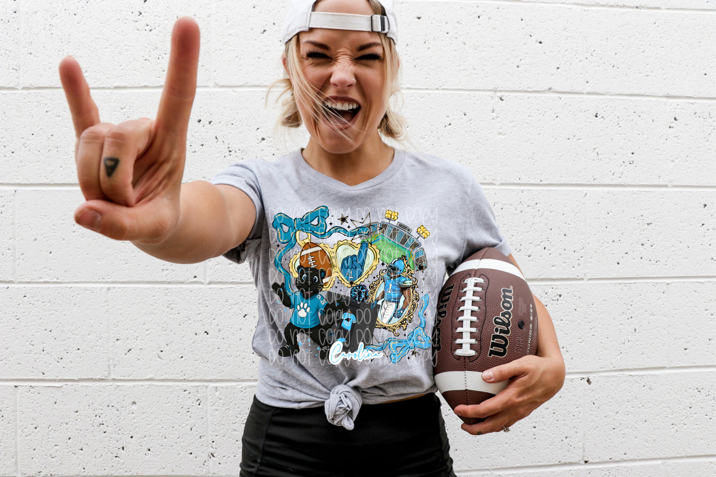 Carolina Panthers Collage