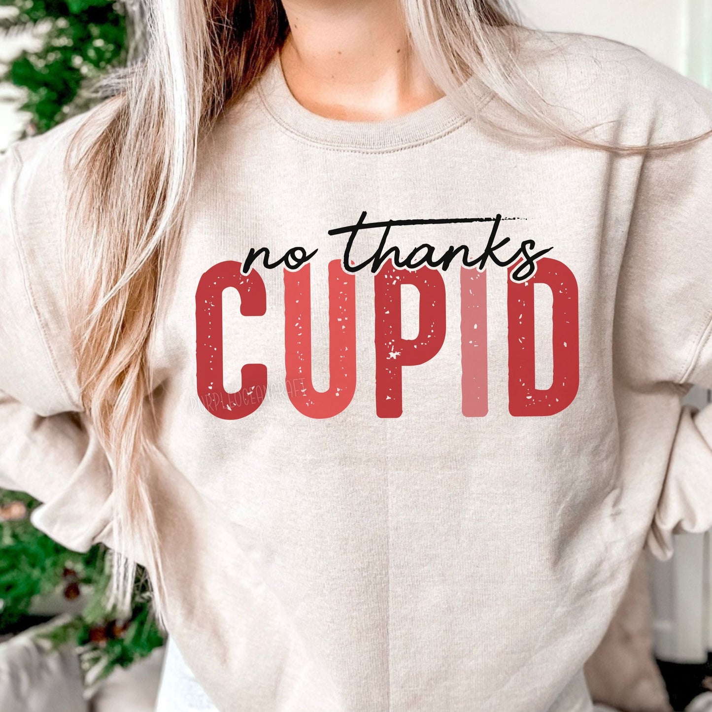 No Thanks Cupid - DTF Transfer