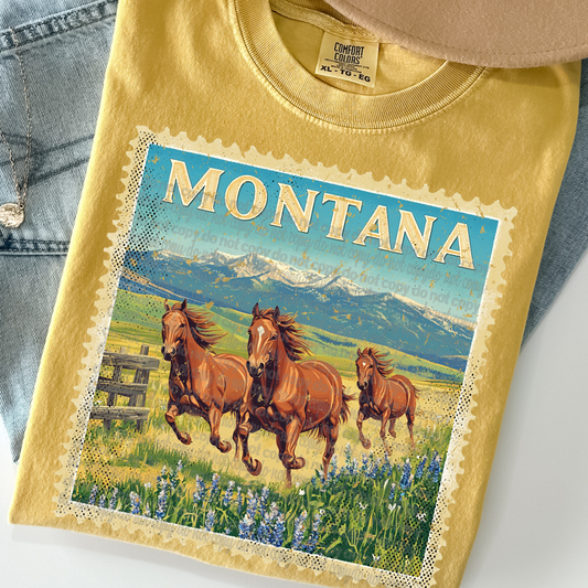 Montana